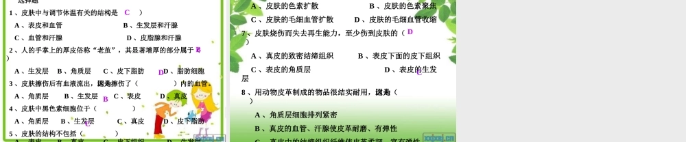 七年级生物下册 第二节汗液形成和排出课件 济南版 课件