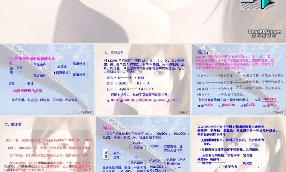 初三化学专题复习 物质推断题的类型及解法 人教版 课件