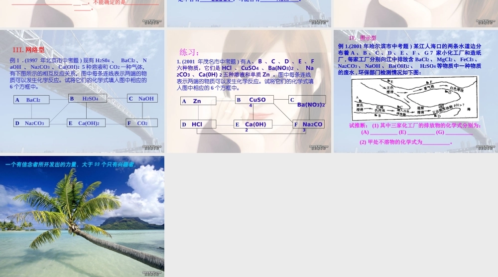 初三化学专题复习 物质推断题的类型及解法 人教版 课件