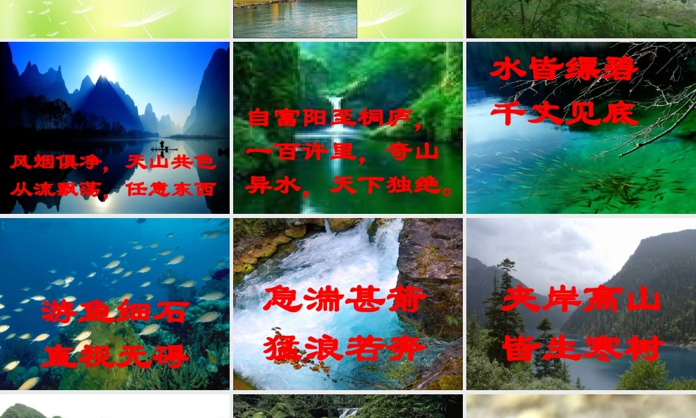 中学九年级语文下册 22 与朱元思书课件 语文版 课件