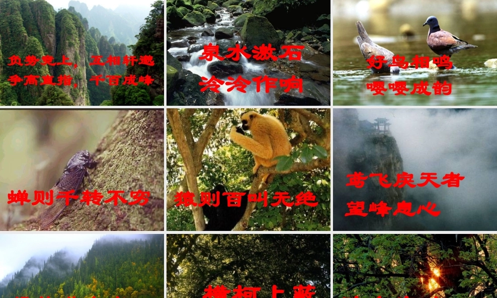 中学九年级语文下册 22 与朱元思书课件 语文版 课件