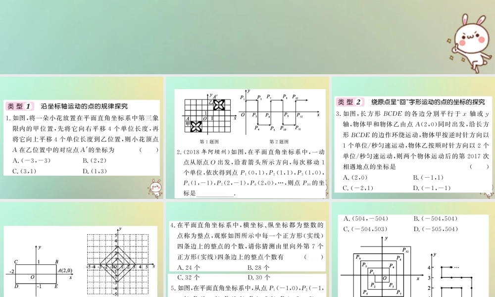 八年级数学上册 滚动小专题(五)习题课件 (新版)北师大版 课件