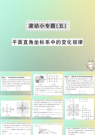 八年级数学上册 滚动小专题(五)习题课件 (新版)北师大版 课件