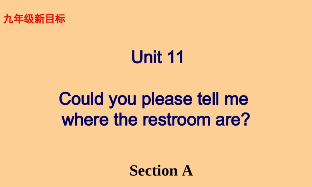九年级英语 Unit11 Section A课件 人教新目标版 课件