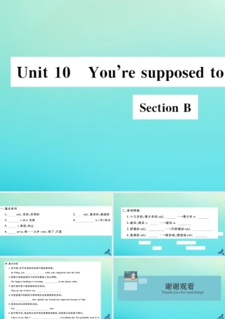 九年级英语全册 Unit 10 You re supposed to shake hands Section B习题课件 (新版)人教新目标版 课件