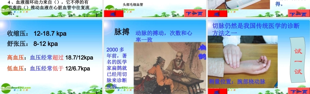 七年级生物第三节 物质运输的途径课件