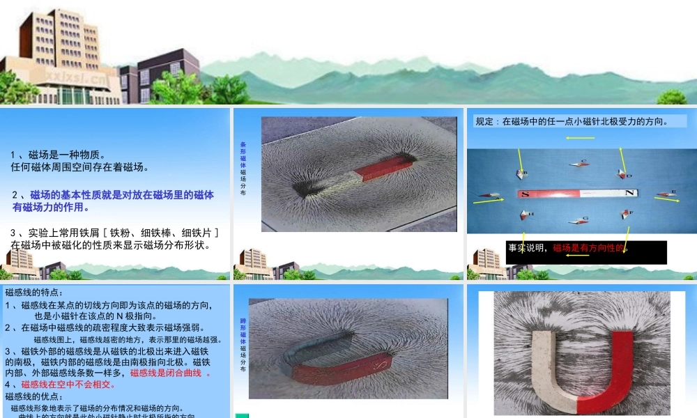 八年级科学下册 4.1磁现象课件 华师大版 课件