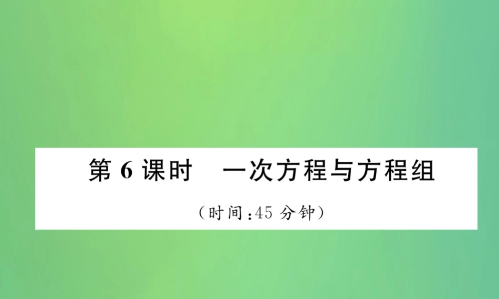 中考数学复习 第2章 方程(组)与不等式(组)第6课时 一次方程与方程组(精练)课件