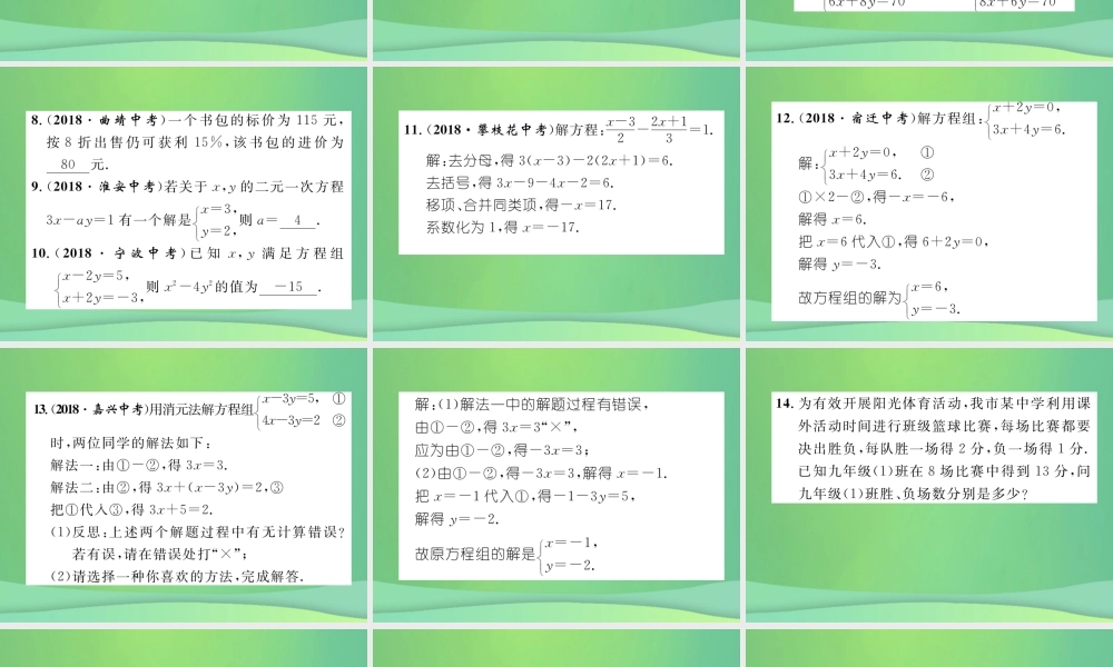 中考数学复习 第2章 方程(组)与不等式(组)第6课时 一次方程与方程组(精练)课件