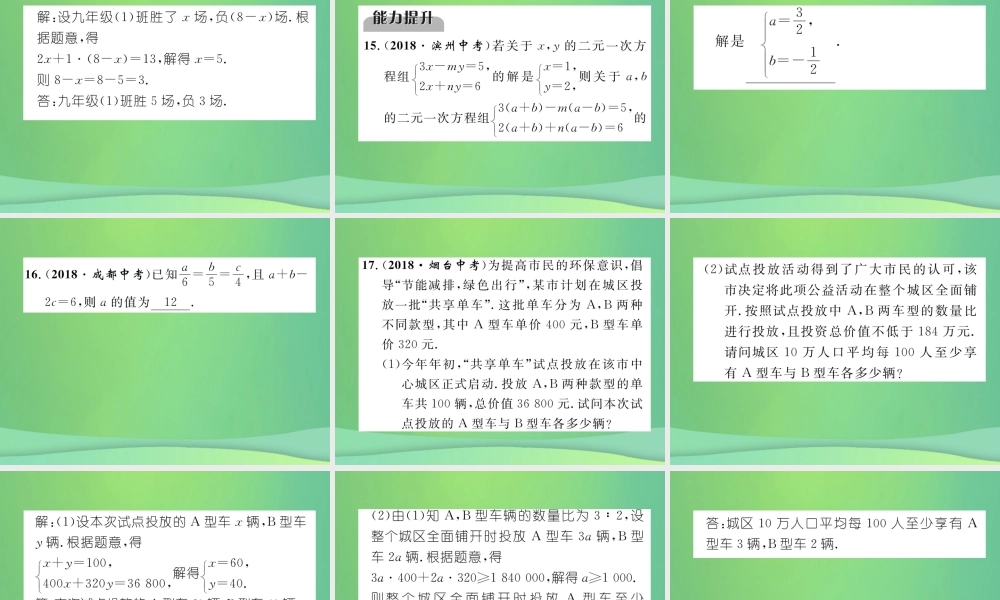 中考数学复习 第2章 方程(组)与不等式(组)第6课时 一次方程与方程组(精练)课件