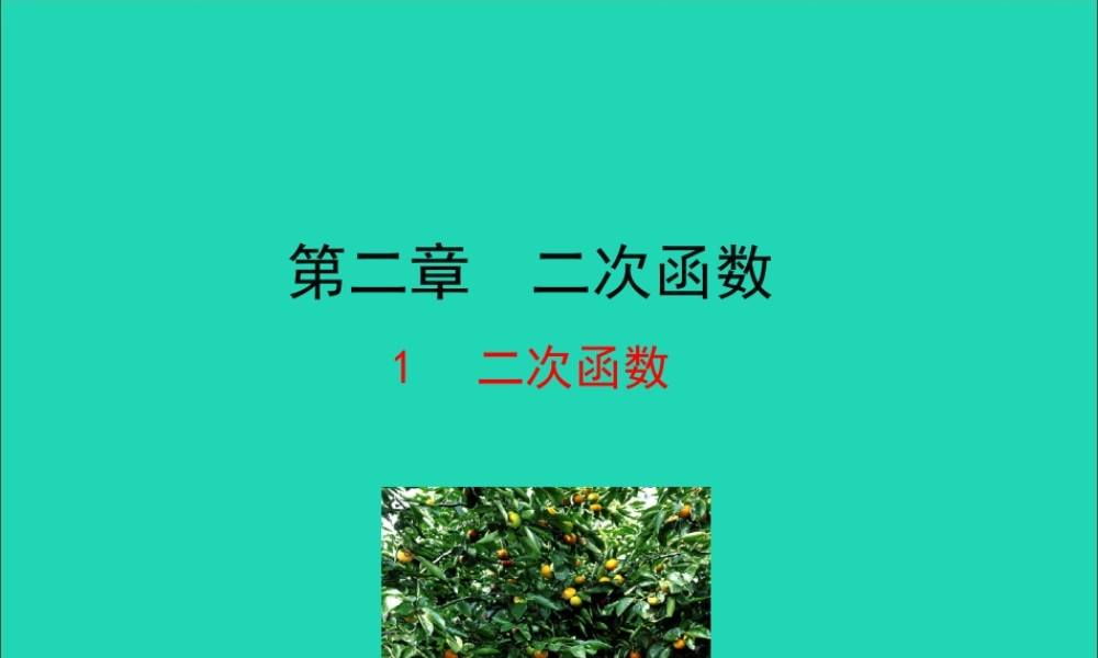 九年级数学下册 第二章 二次函数 1 二次函数教学课件 (新版)北师大版 课件