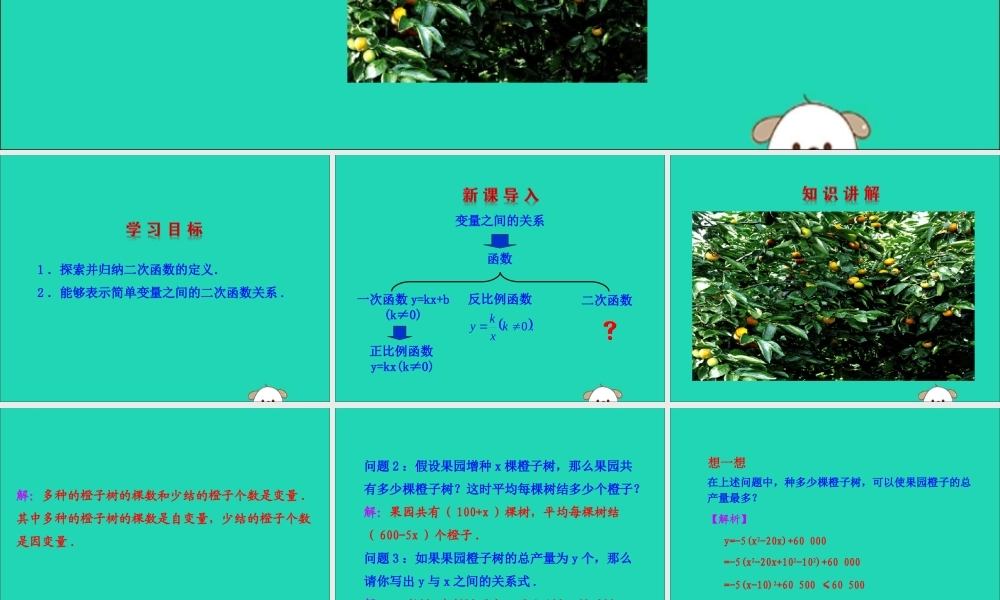 九年级数学下册 第二章 二次函数 1 二次函数教学课件 (新版)北师大版 课件