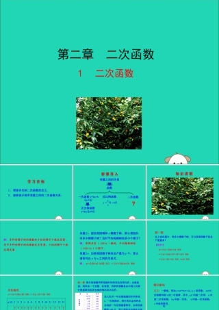 九年级数学下册 第二章 二次函数 1 二次函数教学课件 (新版)北师大版 课件