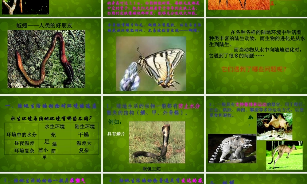 八年级生物上册 5.1.2 陆地生活的动物课件2 新人教版 课件