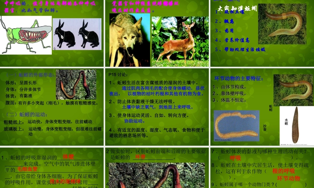 八年级生物上册 5.1.2 陆地生活的动物课件2 新人教版 课件