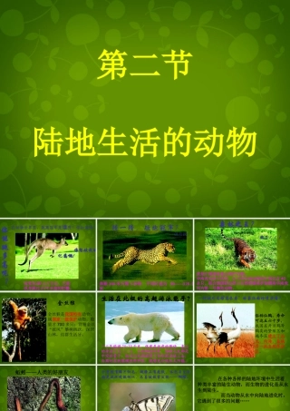 八年级生物上册 5.1.2 陆地生活的动物课件2 新人教版 课件