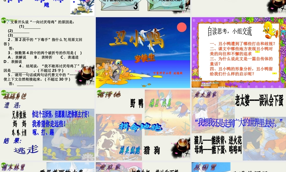 七年级语文下册 第一单元第3课：(丑小鸭)课件 人教新课标版 课件