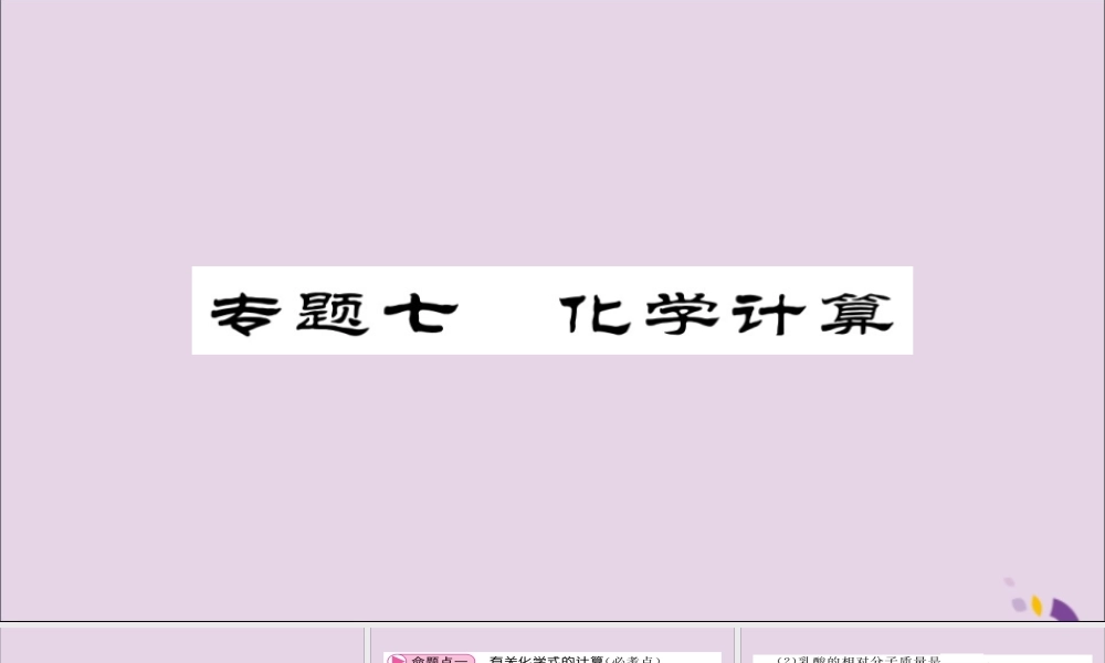 中考化学总复习 第二轮 专题训练 提升能力 专题七 化学计算课件