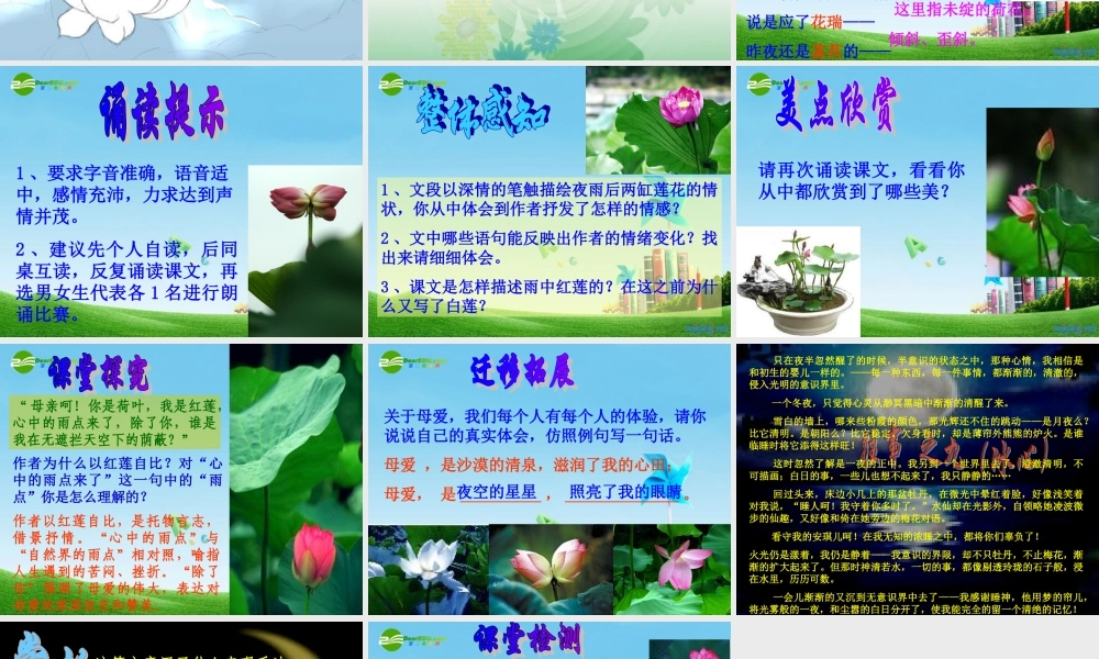 九年级语文下册 (往事)优秀实用课件 苏教版 课件