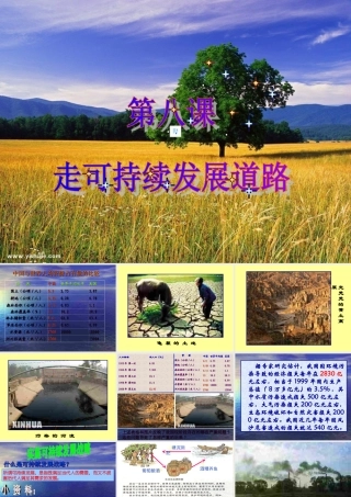 九年级政治第八课走可挂续发展道路课件鲁人版 课件