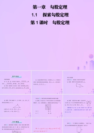 八年级数学上册 第一章 勾股定理 1.1 探索勾股定理 第1课时 勾股定理习题课件 (新版)北师大版 课件