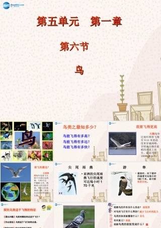 八年级生物下册 第七单元 第一章 第四节 鸟的生殖和发育课件 (新版)新人教版 课件