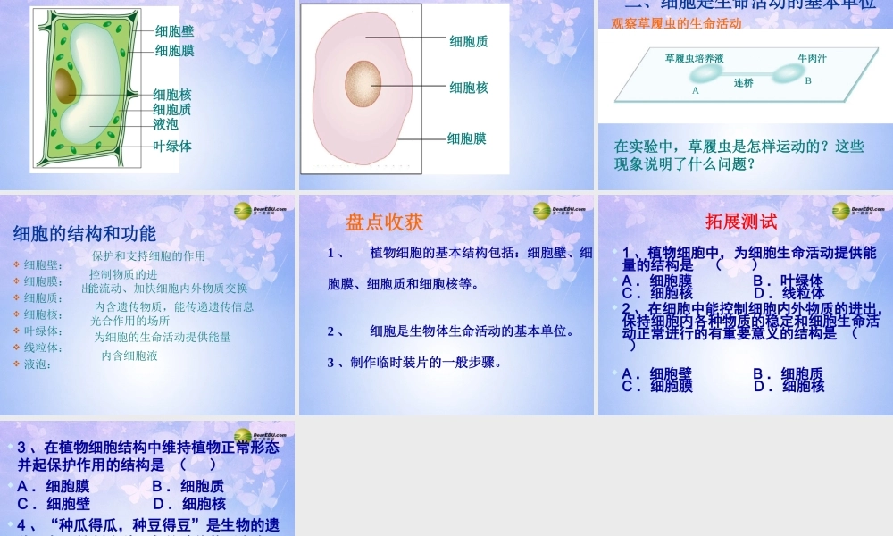 中学七年级生物上册 1.2.1 细胞的结构和功能(第1课时)课件 济南版 课件