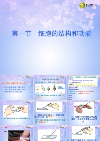 中学七年级生物上册 1.2.1 细胞的结构和功能(第1课时)课件 济南版 课件