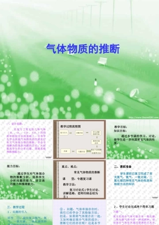 初三化学专题复习 气体物质的推断 课件