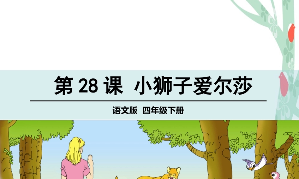 28小狮子爱尔莎-(3)