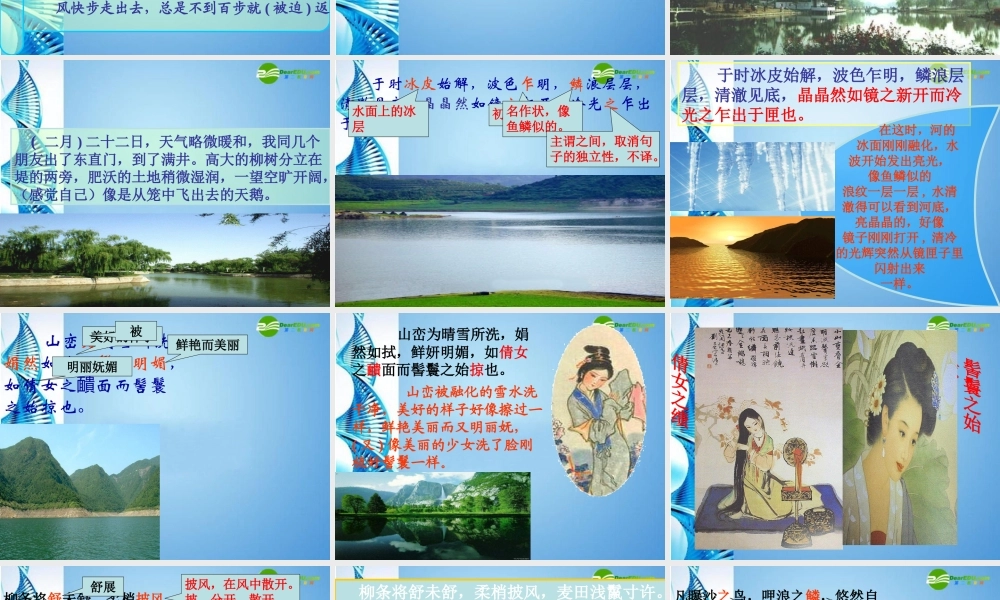 八年级语文上册 第六单元第24课 满井游记课件 语文版 课件