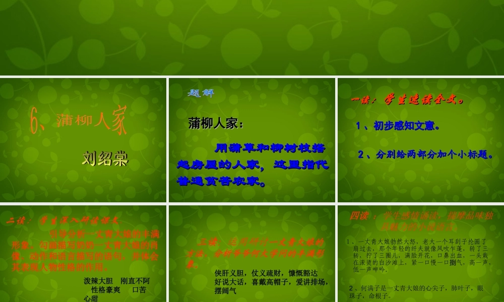 中学九年级语文下册 6 蒲柳人家课件 新人教版 课件