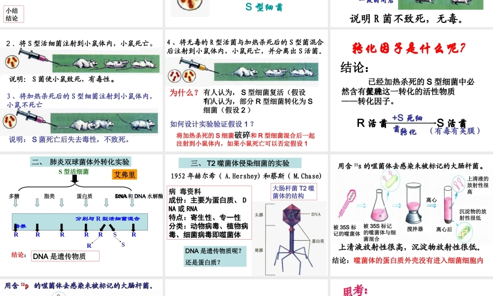 第1节-核酸是遗传物质的证据