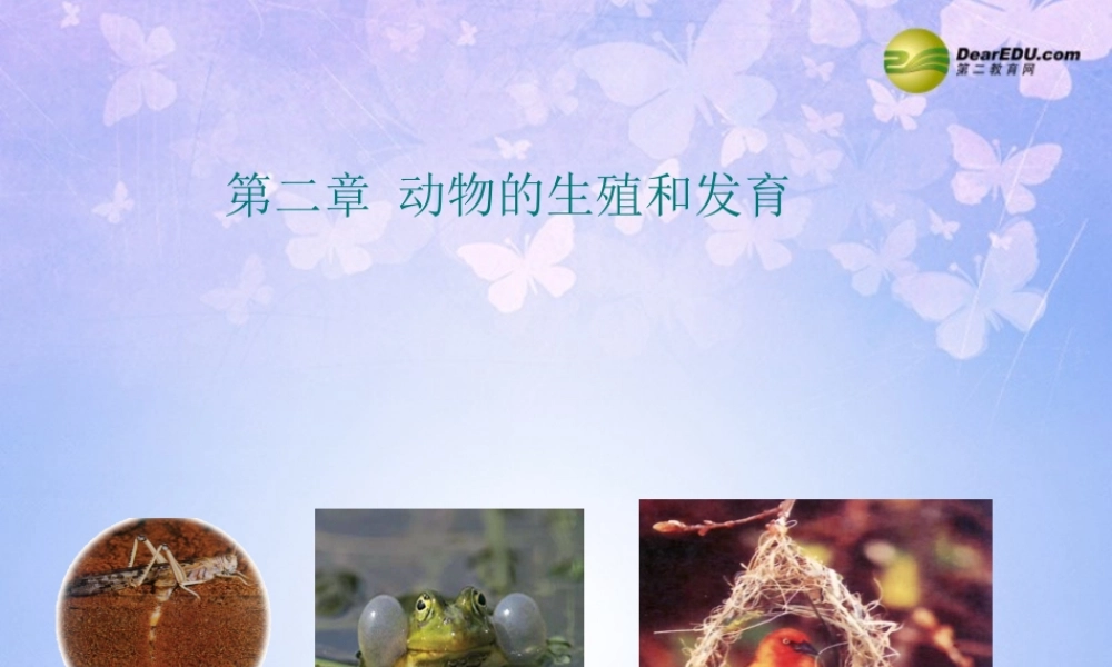 八年级生物上册 动物的生殖和发育复习课件 济南版 课件