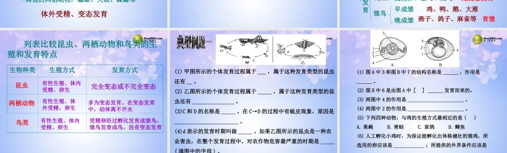 八年级生物上册 动物的生殖和发育复习课件 济南版 课件