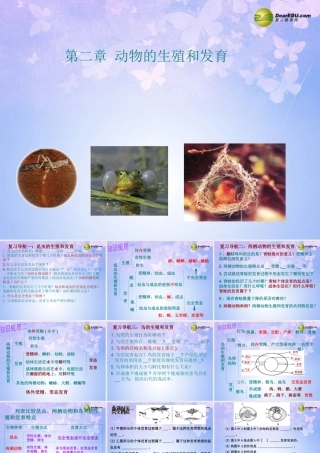 八年级生物上册 动物的生殖和发育复习课件 济南版 课件