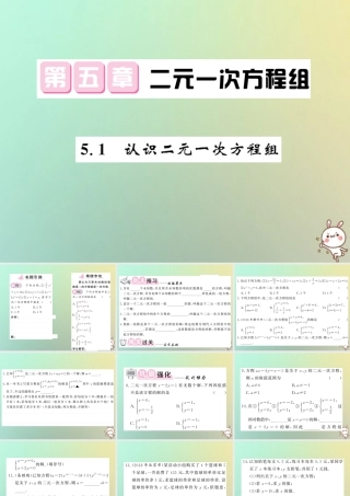 八年级数学上册 第五章 二元一次方程组 5.1 认识二元一次方程组习题课件 (新版)北师大版 课件