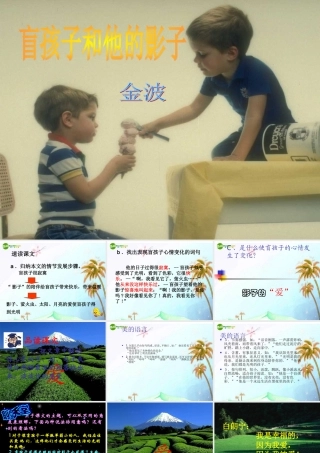 七年级语文上册 盲孩子和他的影子课件 人教新课标版 课件