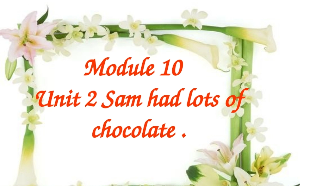 Unit2Samhadlotsofchocolate.