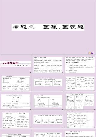 中考化学总复习 第二轮 专题训练 提升能力 专题二 图像图表题课件