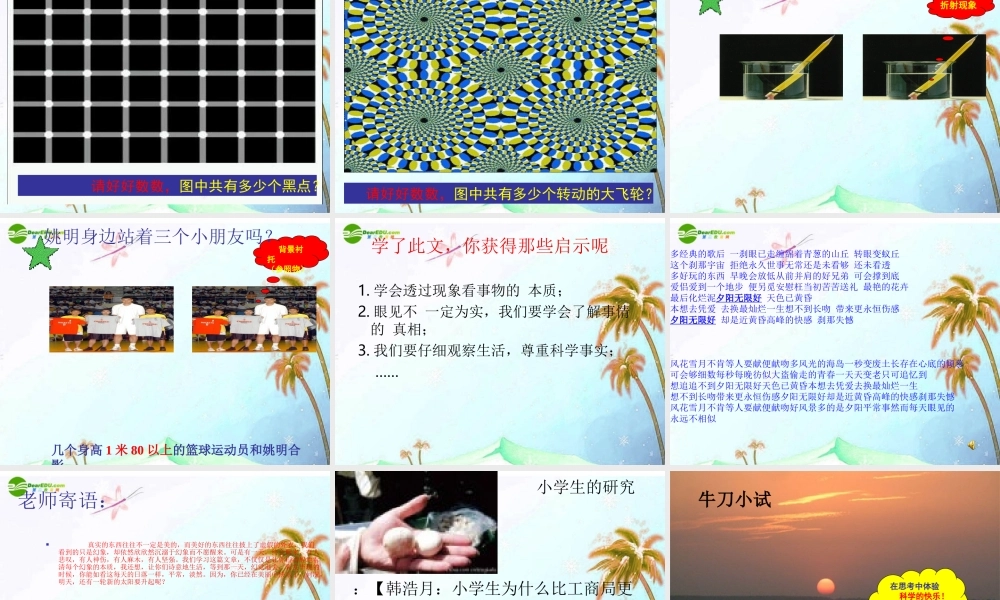 八年级语文上册(落日的幻觉)教学课件  人教新课标版 课件