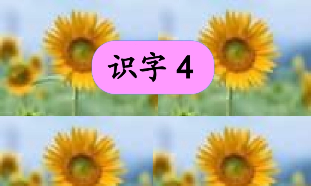 小学语文一年级课件-识字4-5PPT