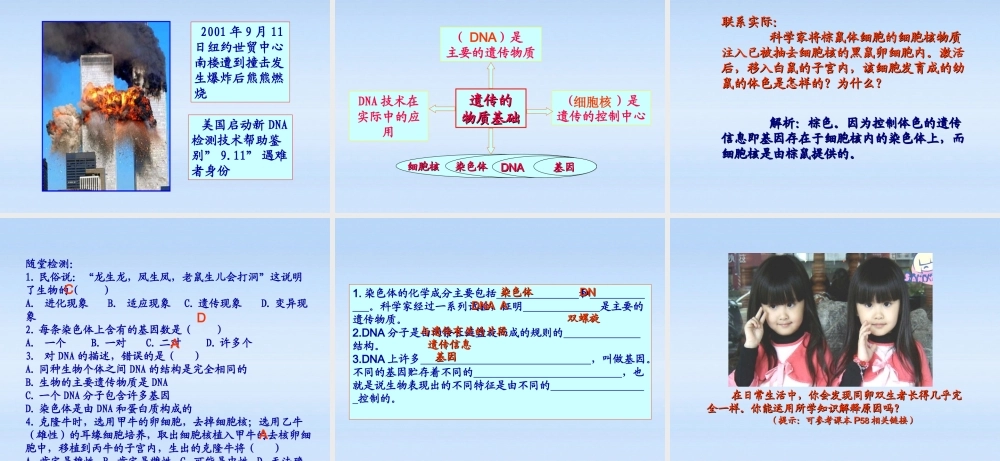 八年级生物上册 第一节遗传的物质基础课件 济南版 课件