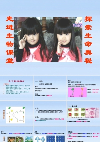 八年级生物上册 第一节遗传的物质基础课件 济南版 课件