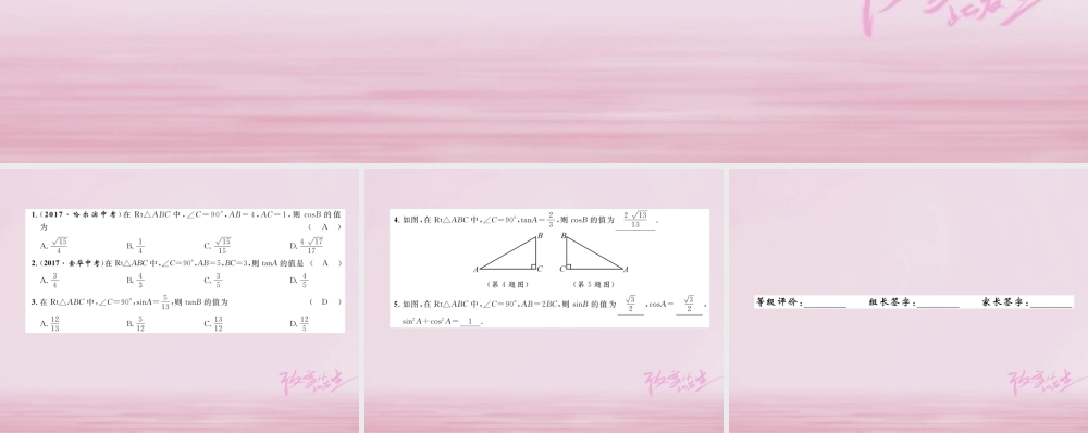 九年级数学上册 第24章 解直角三角形 243 锐角三角形函数 2431 锐角三角函数练习课件 (新版)华东师大版 课件