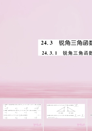 九年级数学上册 第24章 解直角三角形 243 锐角三角形函数 2431 锐角三角函数练习课件 (新版)华东师大版 课件