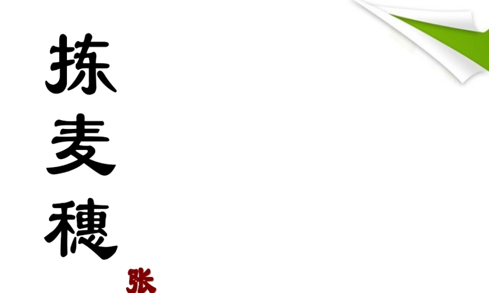 七年级语文上册(拣麦穗)课件 冀教版 课件