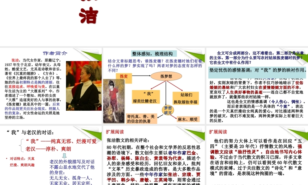 七年级语文上册(拣麦穗)课件 冀教版 课件