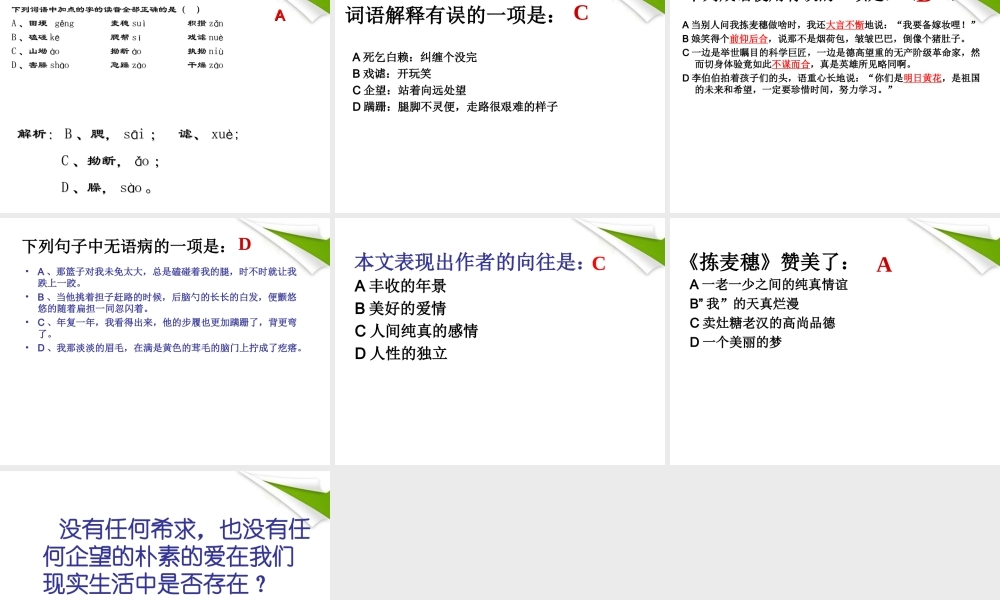七年级语文上册(拣麦穗)课件 冀教版 课件