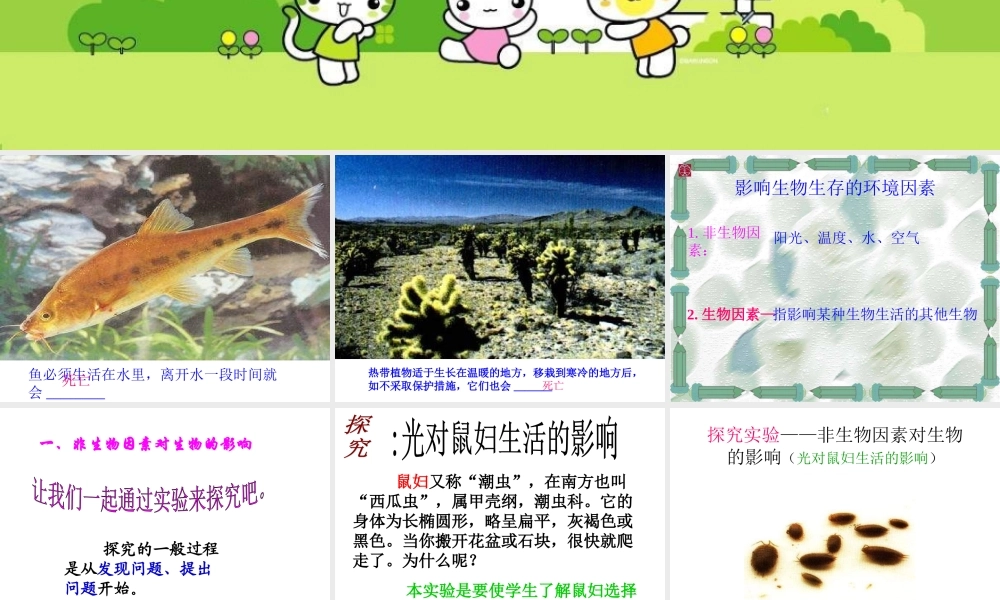 七年级生物第二节 环境对生物的影响课件人教版 课件